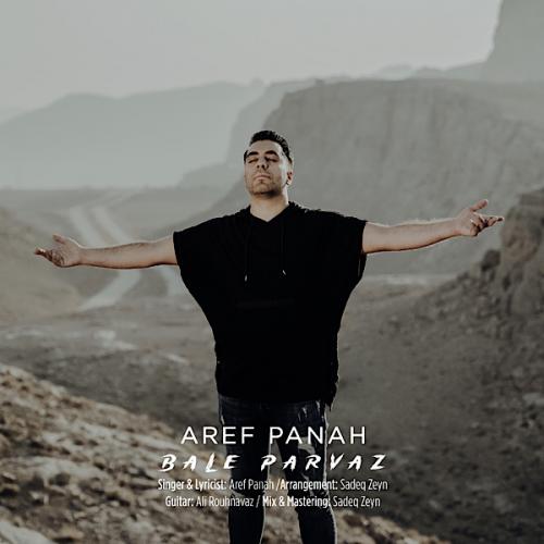 دانلود آهنگ بال پرواز دانلود آهنگ بال پرواز